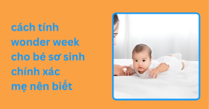 cách tính wonder week cho bé sơ sinh chính xác mẹ nên biết cách tính wonder week cho bé sơ sinh chính xác mẹ nên biết