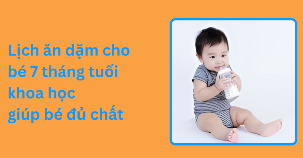 Lịch ăn dặm cho bé 7 tháng tuổi khoa học giúp bé đủ chất Lịch ăn dặm cho bé 7 tháng tuổi khoa học giúp bé đủ chất
