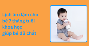 Lịch ăn dặm cho bé 7 tháng tuổi khoa học giúp bé đủ chất Lịch ăn dặm cho bé 7 tháng tuổi khoa học giúp bé đủ chất