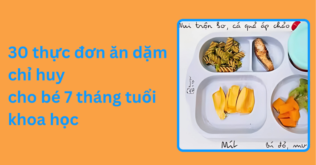 30 thực đơn ăn dặm chỉ huy cho bé 7 tháng tuổi khoa học 30 thực đơn ăn dặm chỉ huy cho bé 7 tháng tuổi khoa học